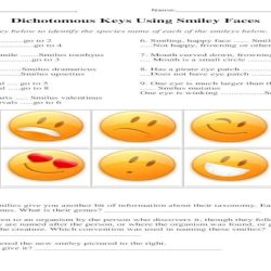 Dichotomous keys using smiley faces answer key