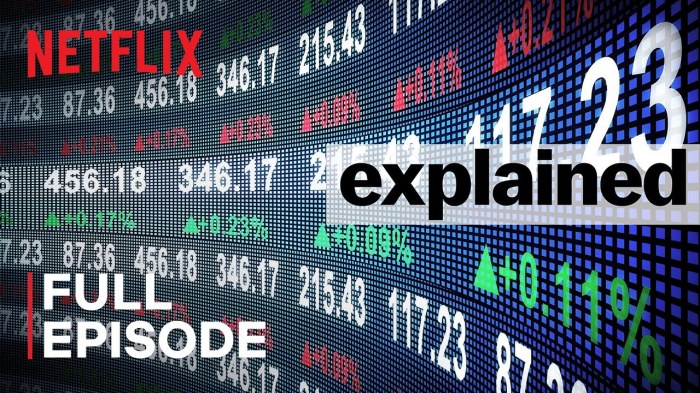 Netflix explained the stock market worksheet